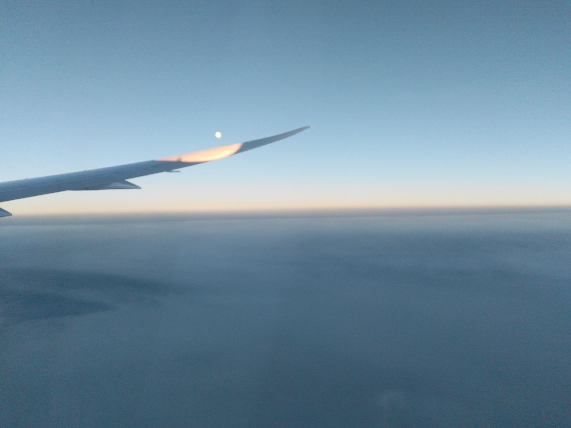 Zurück über den großen Teich