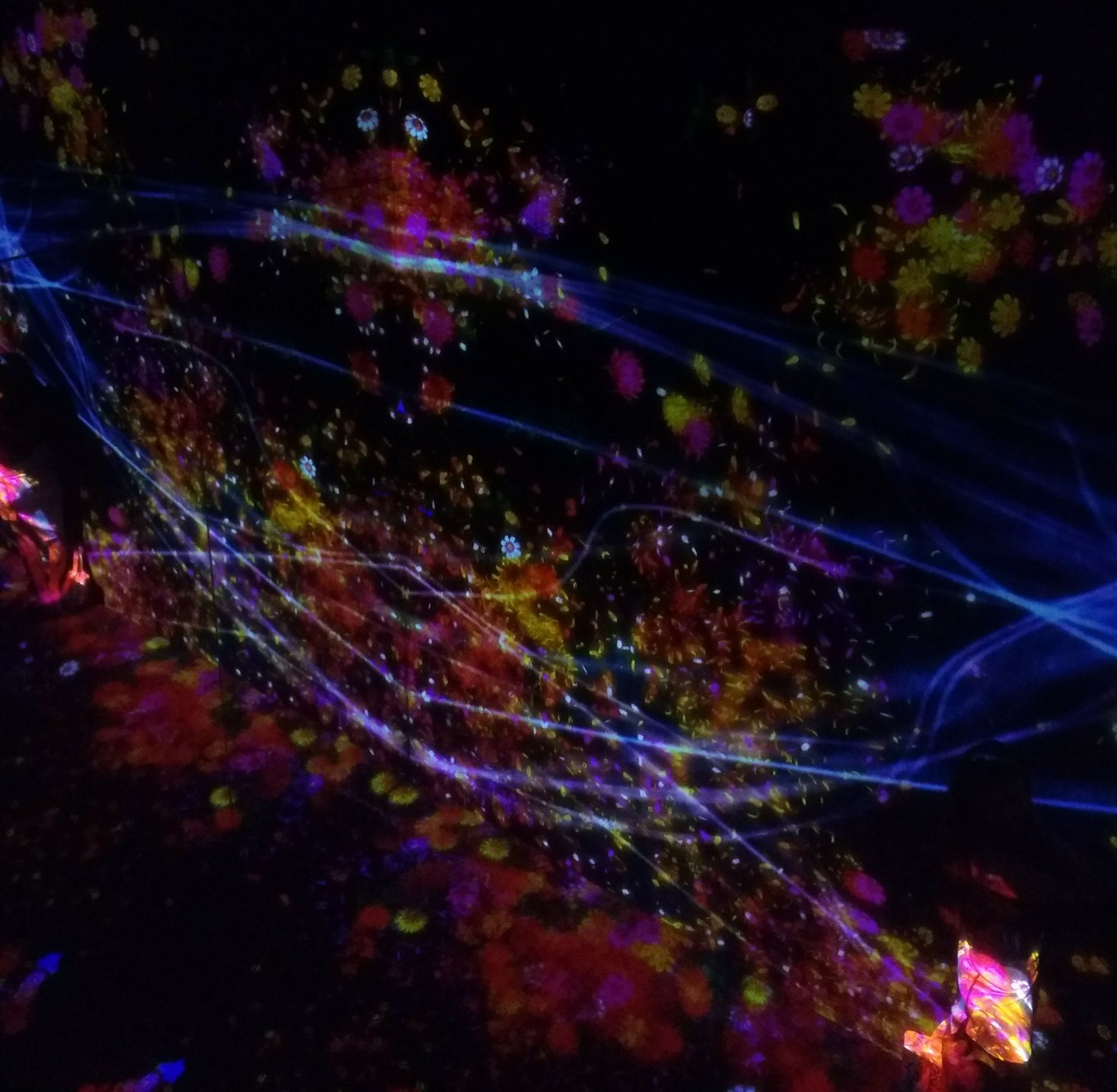 Digital Art Museum & Shinkansen