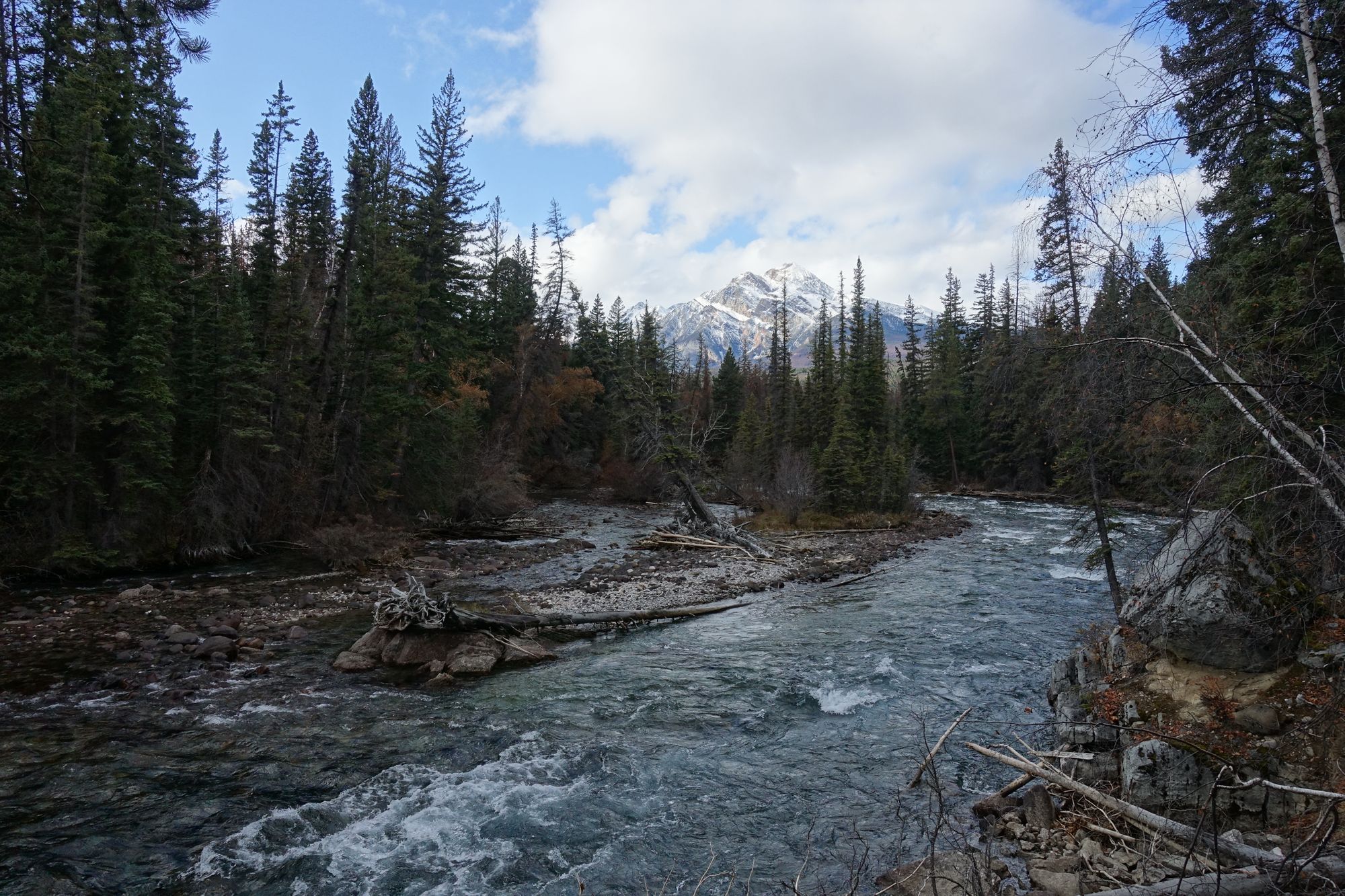Die heimtückischen Drei