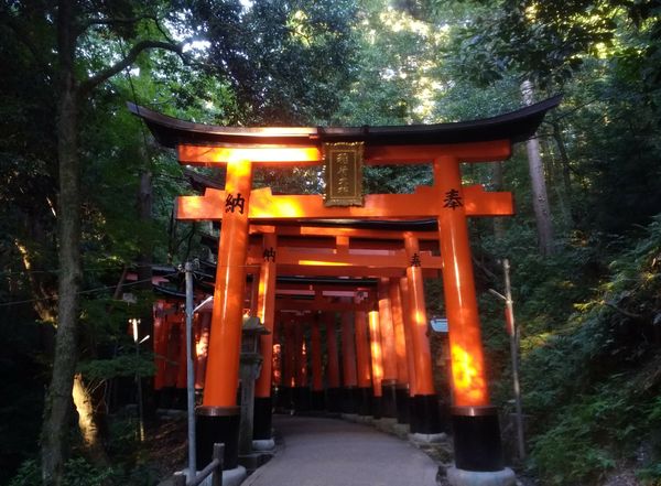 Uji & Fushimi Inari Taisha