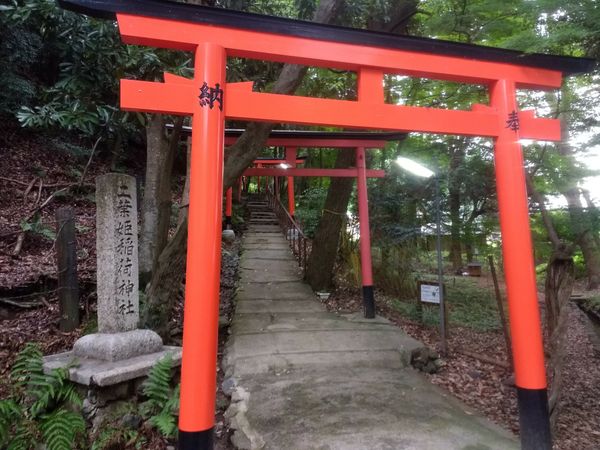 Kamigamo-Schrein und Gozan Okuribi