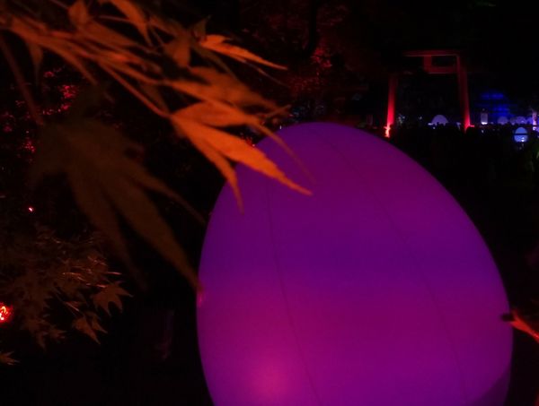 Kyoto Tower & Tadasu no Mori am Shimogamo Schrein