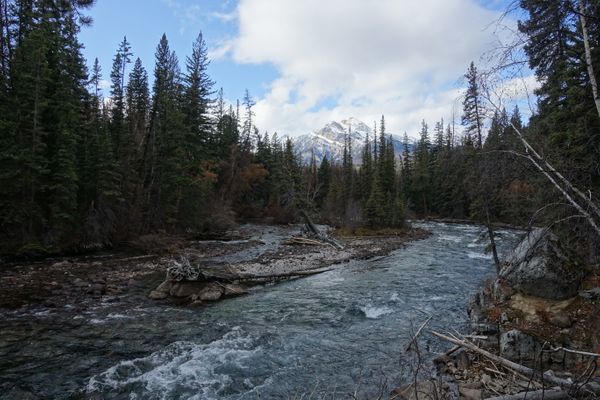 Die heimtückischen Drei