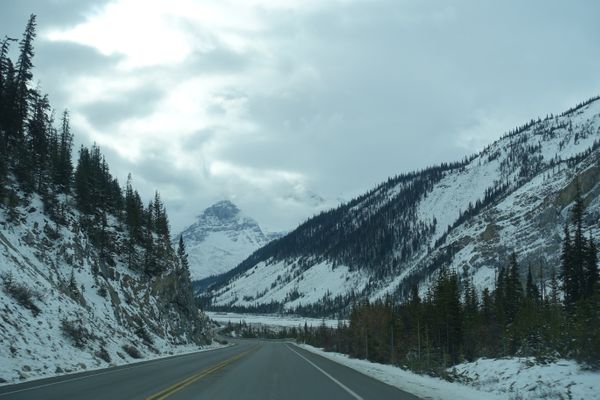 Driving in a Winterwonderland - Icefields Parkway