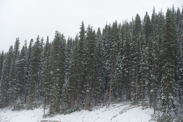 ♫ Walking in a Winterwonderland ♫